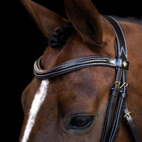Brideira Imperial Riding com muserola inglesa curva Preto