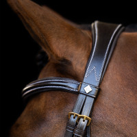 Brideira Imperial Riding com muserola inglesa curva Preto