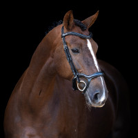 Bridão Imperial Riding com muserola combinada ergonómica baixa Preto