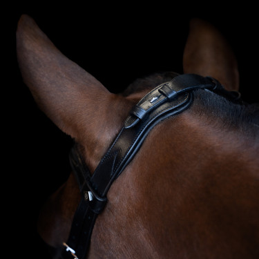 Bridão Imperial Riding com muserola combinada ergonómica baixa Preto