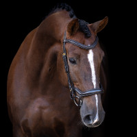 Bridão Imperial Riding com muserola combinada ergonómica baixa Castanho