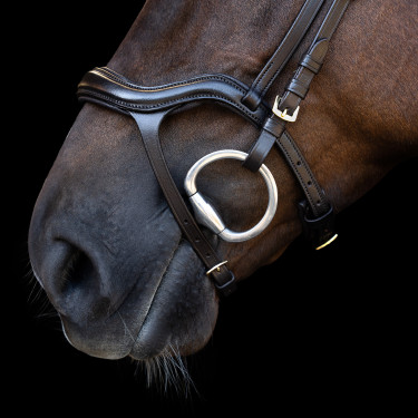 Bridão Imperial Riding com muserola combinada ergonómica baixa Castanho