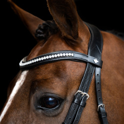 Bridão Imperial Riding combinado simples Preto