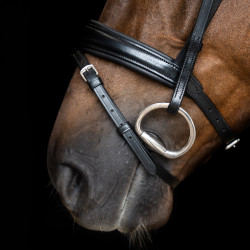 Bridão Imperial Riding combinado simples Preto