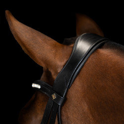 Bridão Imperial Riding combinado simples Preto