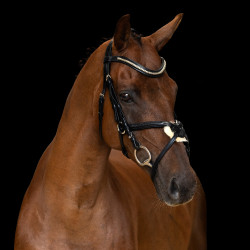 Bridão com muserola mexicana Imperial Riding Preto