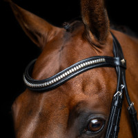Bridão com muserola mexicana Imperial Riding Preto