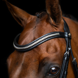 Bridão com muserola mexicana Imperial Riding Preto