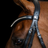 Bridão com muserola mexicana Imperial Riding Preto
