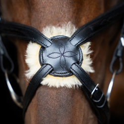 Bridão com muserola mexicana Imperial Riding Preto