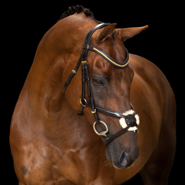Bridão com muserola mexicana Imperial Riding Castanho escuro Bridão com muserola mexicana Imperial Riding Castanho escuro
