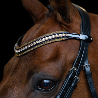 Frontal Imperial Riding Maxima Castanho