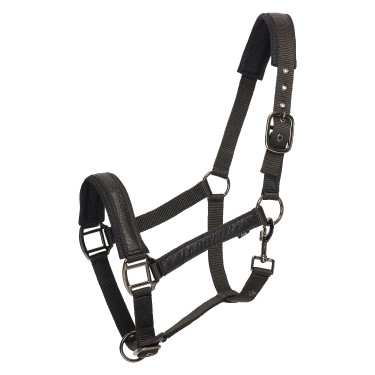 Cabresto HV Polo Katy Preto Cabresto HV Polo Katy Preto