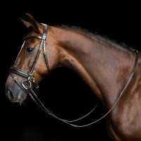 Rendas Imperial Riding em borracha com pinos Castanho escuro