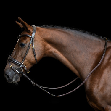 Rendas Imperial Riding em borracha com reforço em nylon Castanho escuro Rendas Imperial Riding em borracha com reforço em nylon Castanho escuro