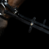 Rendas Imperial Riding em couro liso Preto