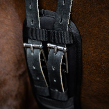 Cilha de dressage Imperial Riding com memória de forma Preto