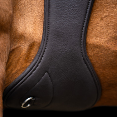 Cinchão de salto Imperial Riding anatómico com fivelas de rolete Castanho escuro Cinchão de salto Imperial Riding anatómico com fivelas de rolete Castanho escuro