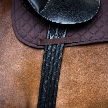 Cinchão de salto Imperial Riding Basic Preto