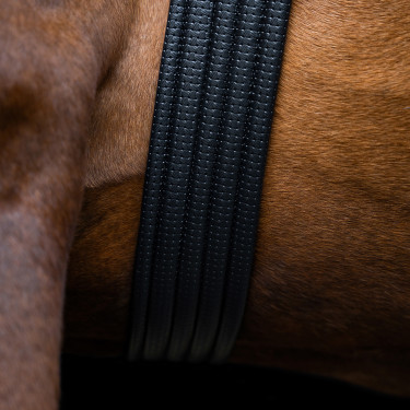 Cinchão de salto Imperial Riding Basic Preto