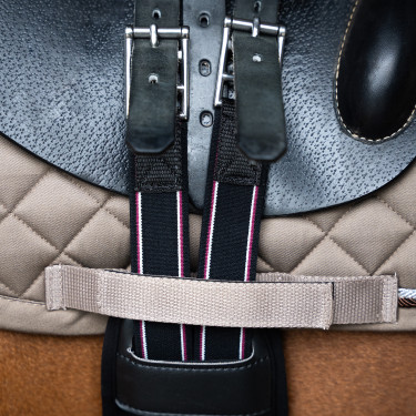 Cilha de salto Imperial Riding Basic anatómica em neoprene Preto