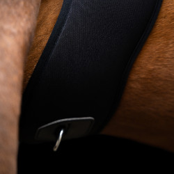 Cilha de salto Imperial Riding Basic anatómica em neoprene Preto