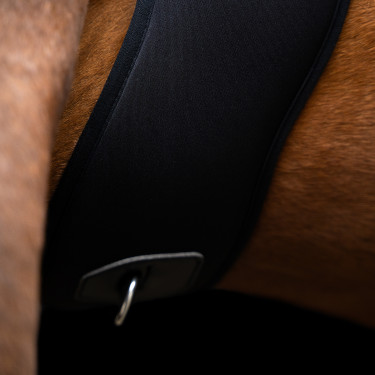 Cilha de salto Imperial Riding Basic anatómica em neoprene Preto