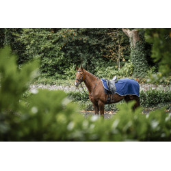 Cobre-rins Horseware Rambo polar impermeável Marinho / tempestade / cinza prateado Azul-marinho Cobre-rins Horseware Rambo polar impermeável Marinho / tempestade / cinza prateado Azul-marinho