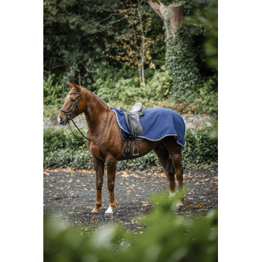 Cobre-rins Horseware Rambo polar impermeável Marinho / tempestade / cinza prateado Azul-marinho Cobre-rins Horseware Rambo polar impermeável Marinho / tempestade / cinza prateado Azul-marinho
