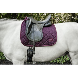 Manta de dressage Horseware AA Performance Primatova Violeta Manta de dressage Horseware AA Performance Primatova Violeta