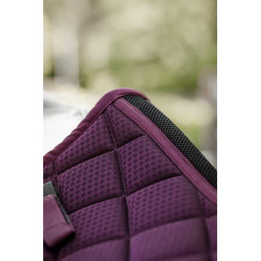 Manta de dressage Horseware AA Performance Primatova Violeta Manta de dressage Horseware AA Performance Primatova Violeta