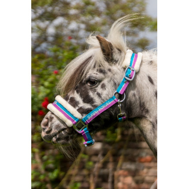 Cabresto Funny Horses HKM Violeta / aqua / prata Cabresto Funny Horses HKM Violeta / aqua / prata