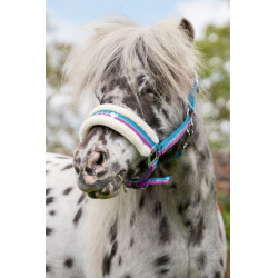 Cabresto Funny Horses HKM Violeta / aqua / prata Cabresto Funny Horses HKM Violeta / aqua / prata