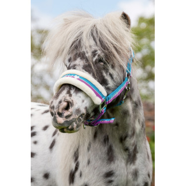 Cabresto Funny Horses HKM Violeta / aqua / prata Cabresto Funny Horses HKM Violeta / aqua / prata
