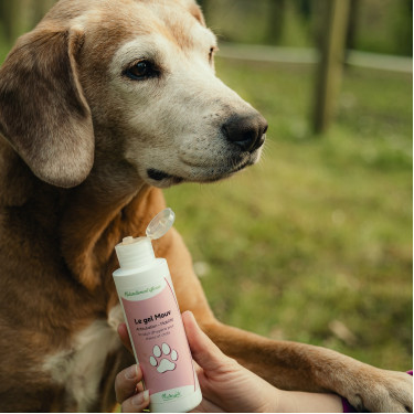 Gel Mouv Nutragile Cão e gato