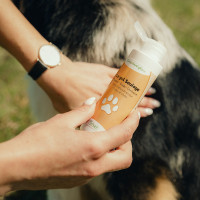 Gel de alívio Nutragile Cão e gato