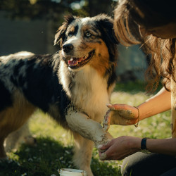 Cataplasma de argila Nutragile Cão e gato
