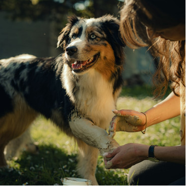 Cataplasma de argila Nutragile Cão e gato