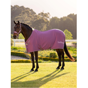 Camisa secante de bambu Kudos LeMieux Malva Violeta Camisa secante de bambu Kudos LeMieux Malva Violeta