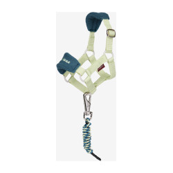 Cabeçada de passeio para brinquedo Mini Pônei LeMieux Macaron Verde Cabeçada de passeio para brinquedo Mini Pônei LeMieux Macaron Verde