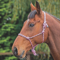 Cabresto etológico Shires Rosa / preto