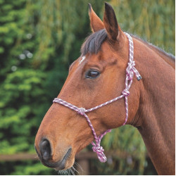 Cabresto etológico Shires Rosa / preto Cabresto etológico Shires Rosa / preto
