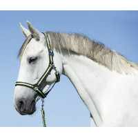 Caveção Hippo Covalliero Marrom / bege Castanho