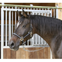 Cabeçada Mustang Covalliero Preto / prata