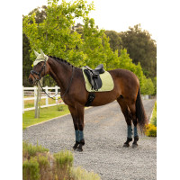 Sapata de dressage LeMieux Square em tecido mesh Air-Tek Macaron Verde Sapata de dressage LeMieux Square em tecido mesh Air-Tek Macaron Verde