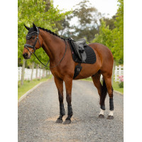 Sapata de dressage LeMieux Square em tecido mesh Air-Tek Preto Sapata de dressage LeMieux Square em tecido mesh Air-Tek Preto