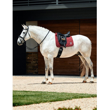 Manta de dressage Weatherbeeta Softshell Pro 3D Air-Tec Bordéus Bord&amp;amp;amp;amp;amp;ocirc;