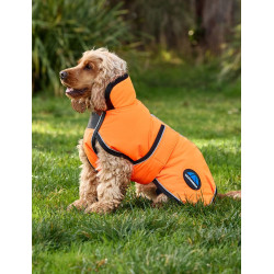 Capa impermeável para cão WeatherBeeta ComFiTec refletora 300D Deluxe Laranja Capa impermeável para cão WeatherBeeta ComFiTec refletora 300D Deluxe Laranja