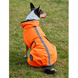 Capa impermeável para cão WeatherBeeta ComFiTec refletora 300D Deluxe Laranja Capa impermeável para cão WeatherBeeta ComFiTec refletora 300D Deluxe Laranja