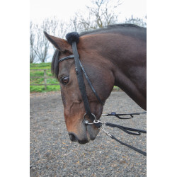 Adaptador de guia Shires Preto